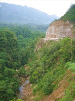 Дорога в сельву